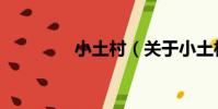 小土村(關于小土村簡介)