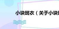 小塊斑衣(關于小塊斑衣簡介)