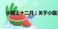 小國王十二月(關于小國王十二月簡介)