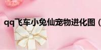 qq飛車小兔仙寵物進化圖(qq飛車小兔仙)