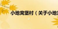 小地窩堡村(關于小地窩堡村簡介)