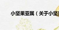 小堅果亞屬(關于小堅果亞屬簡介)