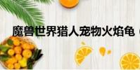 魔獸世界獵人寵物火焰龜(wow火焰龜)