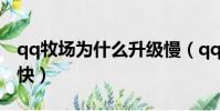 qq牧場為什么升級慢(qq牧場養什么升級最快)