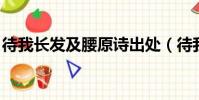待我長發及腰原詩出處(待我長發及腰 原詩)