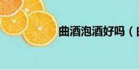 曲酒泡酒好嗎(曲酒)