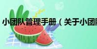 小團隊管理手冊(關于小團隊管理手冊簡介)