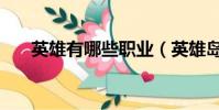 英雄有哪些職業(英雄島什么職業好)