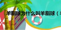 羊脂球為什么叫羊脂球(羊脂球指什么)