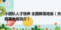 小團隊人才培養 全圖解落地版(關于小團隊人才培養 全圖解落地版簡介)