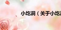小圪洞(關于小圪洞簡介)