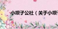 小壩子公社(關于小壩子公社簡介)