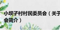 小壩子村村民委員會(關于小壩子村村民委員會簡介)