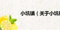 小坑鎮(關于小坑鎮簡介)
