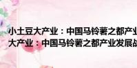 小土豆大產業:中國馬鈴薯之都產業發展戰略(關于小土豆大產業:中國馬鈴薯之都產業發展戰略簡介)