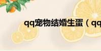 qq寵物結婚生蛋(qq寵物結婚)