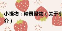 小怪物:精靈怪物(關于小怪物:精靈怪物簡介)