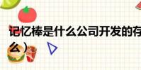 記憶棒是什么公司開發的存儲卡(記憶棒是什么)