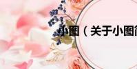 小圖(關于小圖簡介)