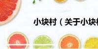 小塊村(關于小塊村簡介)