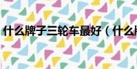 什么牌子三輪車最好(什么牌子的三輪車好)