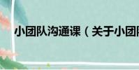 小團隊溝通課(關于小團隊溝通課簡介)