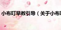 小布叮早教引導(關于小布叮早教引導簡介)