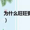 為什么旺旺要驗證碼（阿里旺旺驗證碼不顯示）