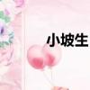 小坡生日（關于小坡生日簡介）