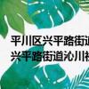 平川區興平路街道沁川社區學雷鋒志愿服務隊（關于平川區興平路街道沁川社區學雷鋒志愿服務隊介紹）