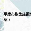 平度市張戈莊鎮塔丘小學（關于平度市張戈莊鎮塔丘小學介紹）
