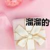 溜溜的情歌歌曲（溜溜的情歌）