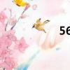 56個民族有哪些（5）