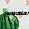小型往復活塞氫氣壓縮機（關于小型往復活塞氫氣壓縮機簡介）