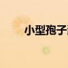 小型孢子囊（關于小型孢子囊簡介）