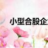 小型合股企業（關于小型合股企業簡介）