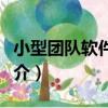 小型團隊軟件開發（關于小型團隊軟件開發簡介）