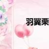 羽翼栗子球LV9（羽翼栗子球）