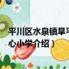 平川區水泉鎮旱平川中心小學（關于平川區水泉鎮旱平川中心小學介紹）