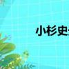 小杉史光（關于小杉史光簡介）