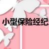 小型保險經紀人（關于小型保險經紀人簡介）