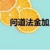 問道法金加點最好（問道法金怎么加點）