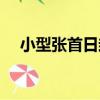 小型張首日封（關于小型張首日封簡介）