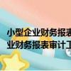小型企業財務報表審計工作底稿編制指南2013（關于小型企業財務報表審計工作底稿編制指南2013簡介）