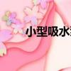 小型吸水泵（關于小型吸水泵簡介）