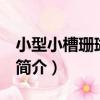 小型小槽珊瑚 新種（關于小型小槽珊瑚 新種簡介）
