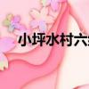 小坪水村六組（關于小坪水村六組簡介）
