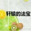 軒轅的法寶（軒轅傳奇弒神法寶是什么）