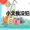 小文我沒犯規（關于小文我沒犯規簡介）