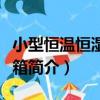小型恒溫恒濕試驗箱（關于小型恒溫恒濕試驗箱簡介）